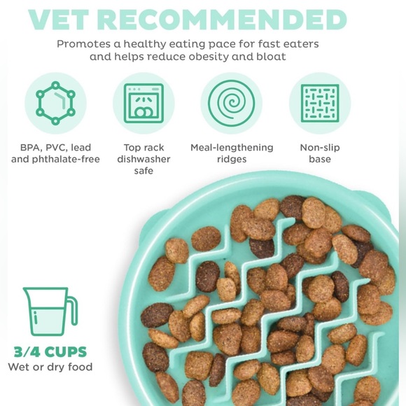 Slow feeder pet food bowl - Picture 3 of 5